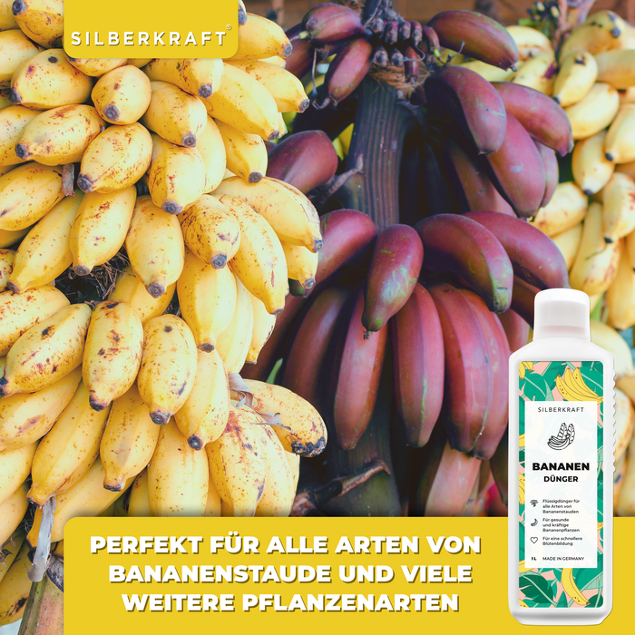 Bananendünger - Mineralischer NPK Flüssigdünger mit Stickstoff - Dünger für Bananen - Silberkraft