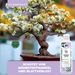 Bonsaidünger - Mineralischer NPK Flüssigdünger mit Stickstoff - Dünger für Bonsai - Bonsai Ficus Dünger - Silberkraft