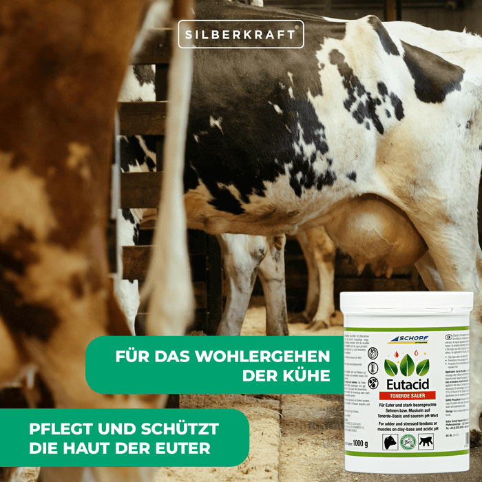 Eutacid Tonerdebalsam: Vielseitige Kuh-Pflege für Euter und Gelenke - Silberkraft