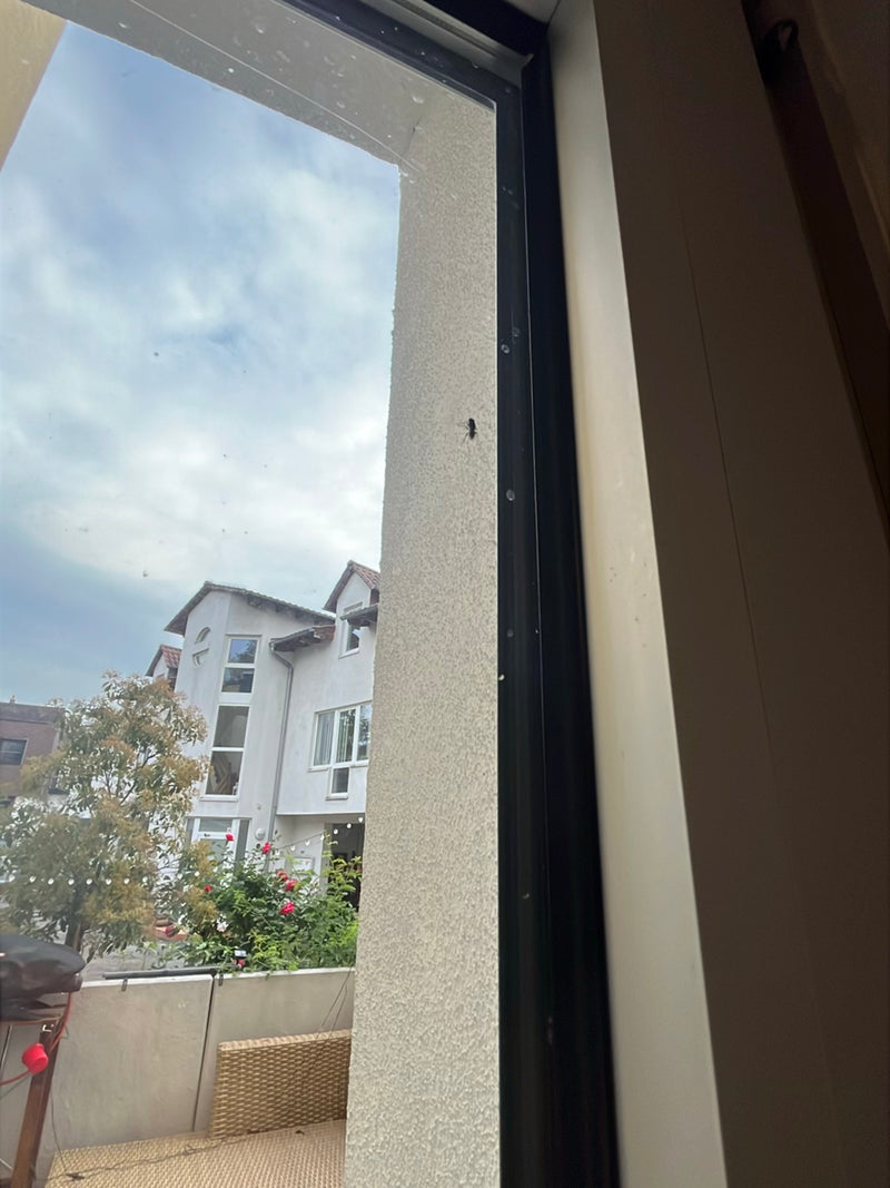Fliege — Bild 3