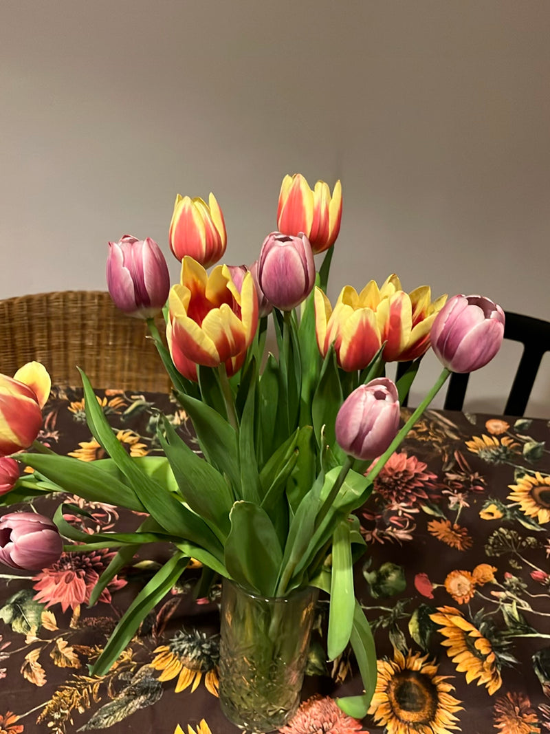 Garten-Tulpe — Bild 4
