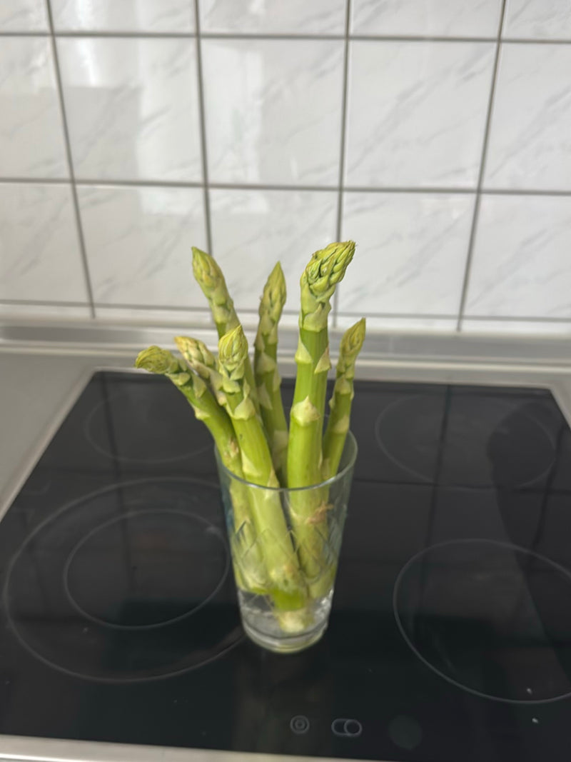 Spargel — Bild 1