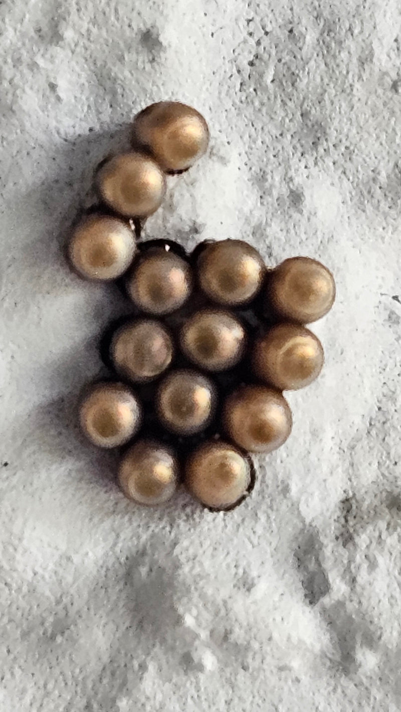 Feldwanze — Bild 3