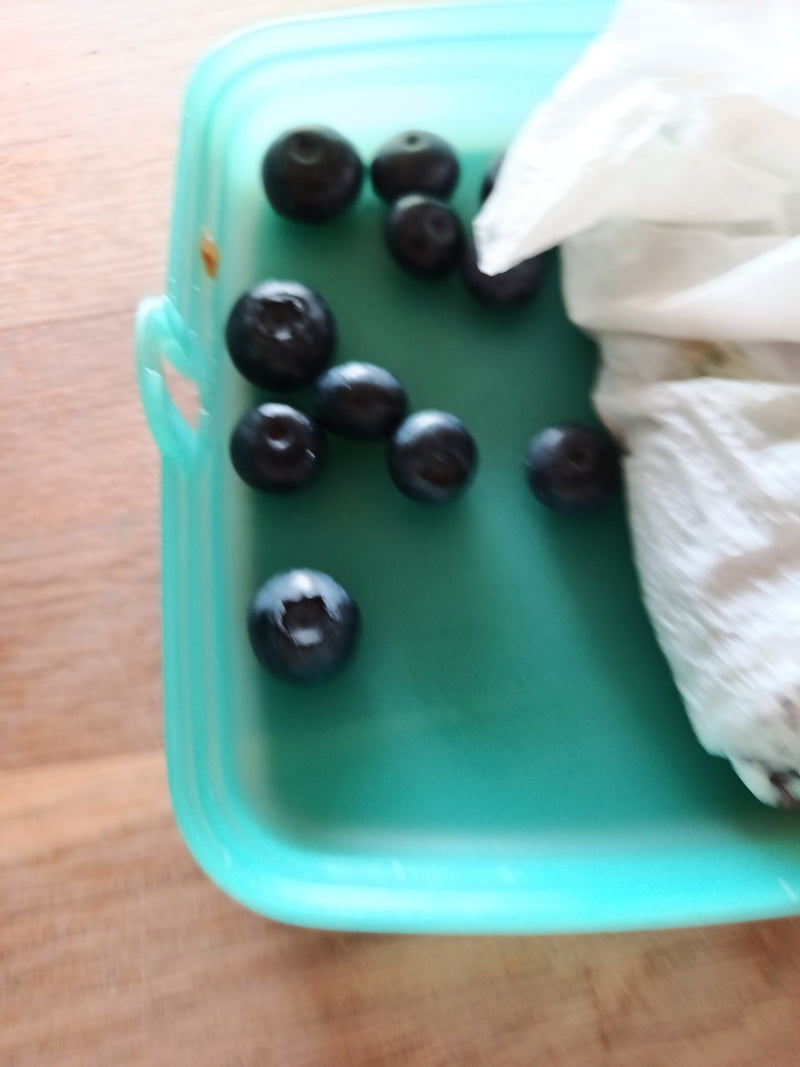 Heidelbeere — Bild 1