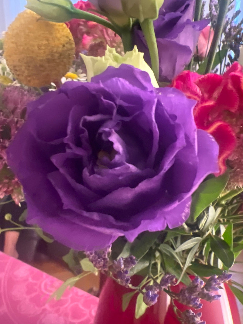 Japanrose (Lisianthus) — Bild 2