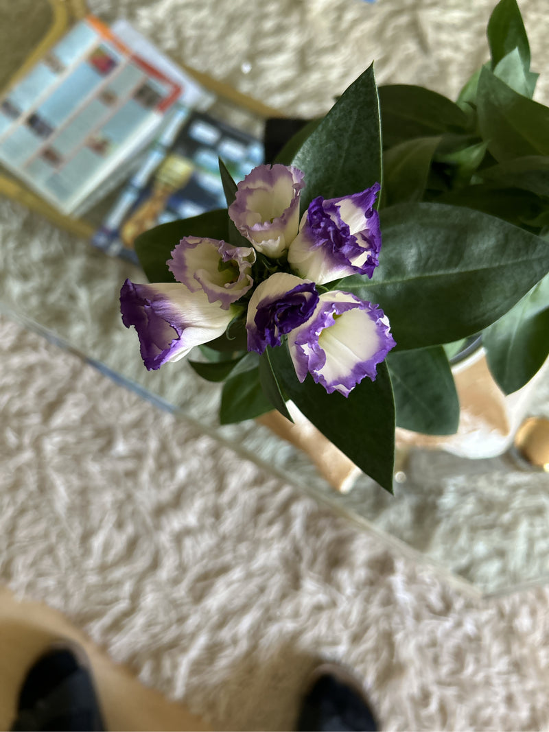 Japanrose (Lisianthus) — Bild 3