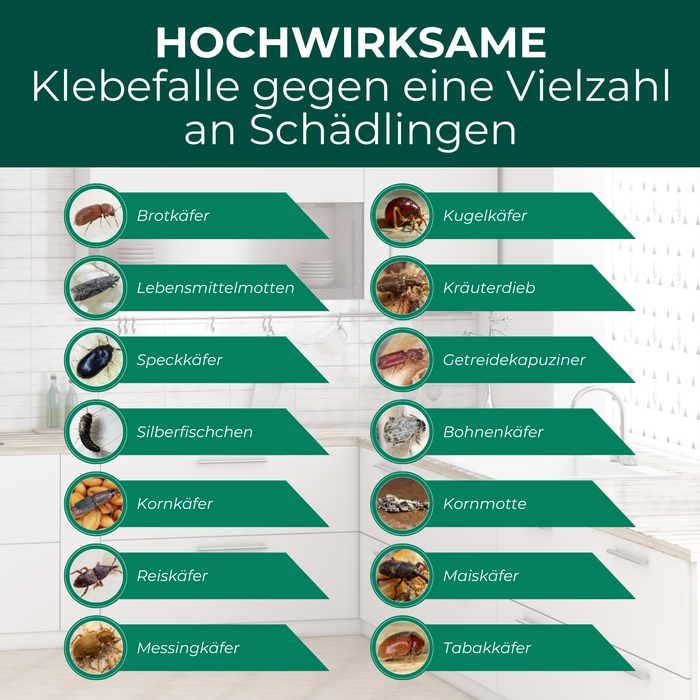 Käferfalle wirksam gegen Lebensmittelmotten, Silberfischchen, Bohnenkäfer, Getreidekapuziner und kriechende Schädlinge