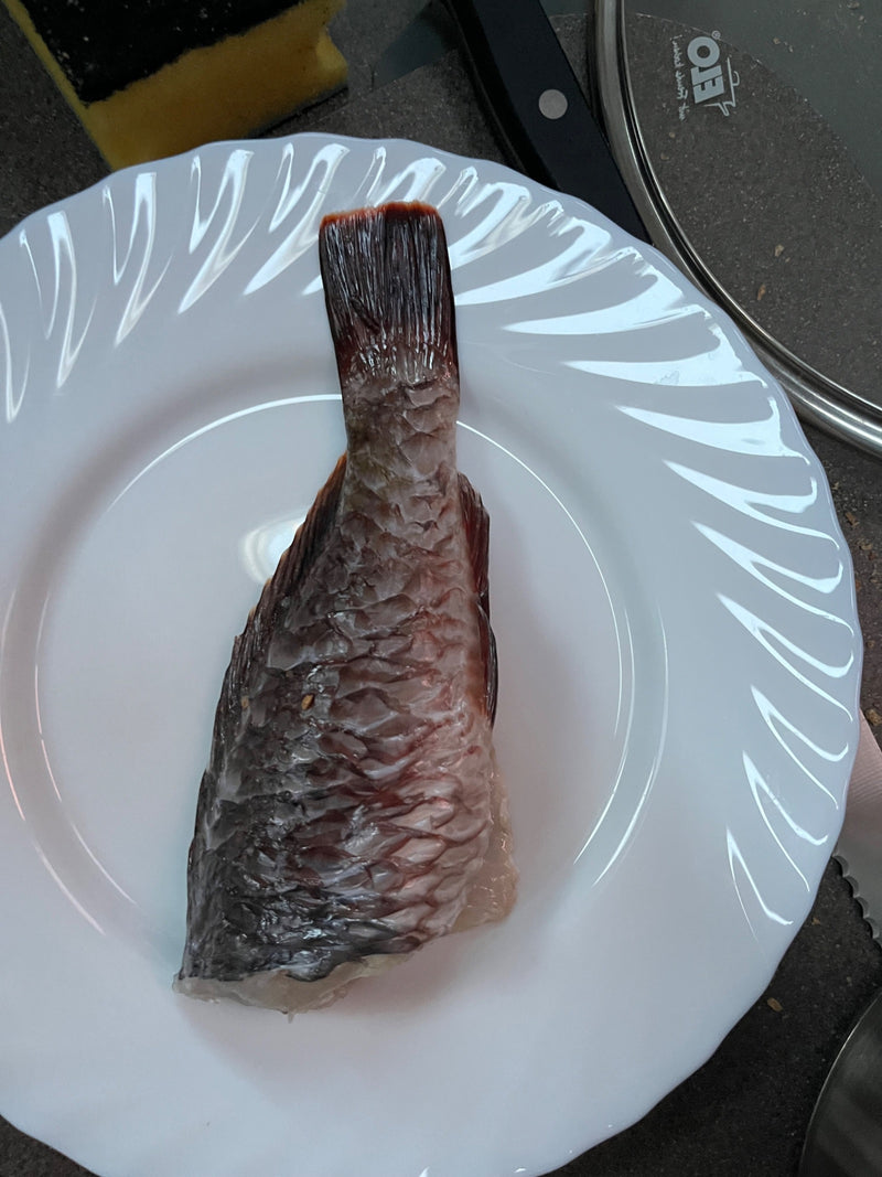 Gemeine Karpfen — Bild 5