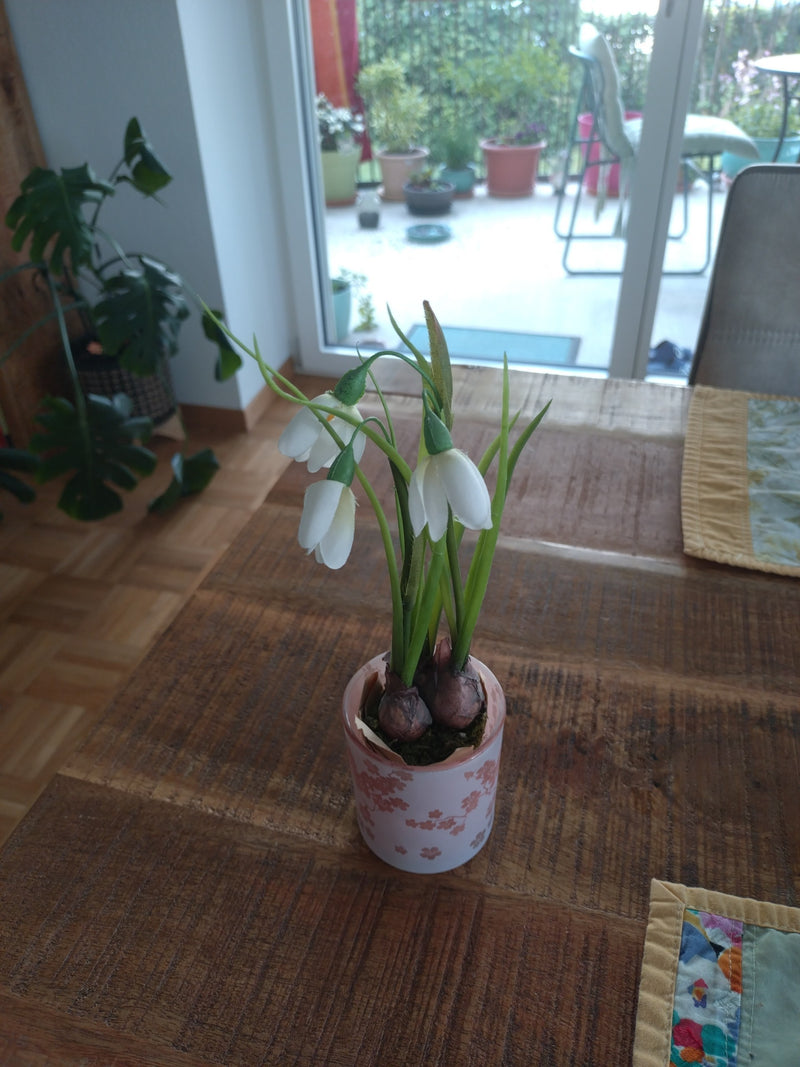 Kleines Schneeglöckchen — Bild 2
