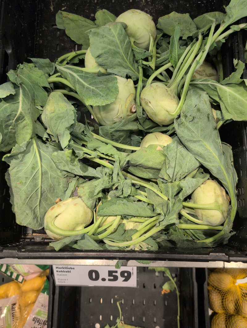 Kohlrabi — Bild 1