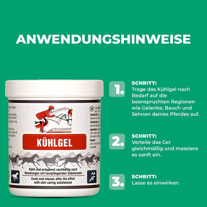 Kühlgel für Pferde: sanfte Entspannung & Regeneration - Silberkraft