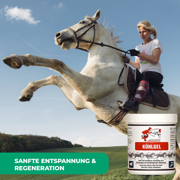 Kühlgel für Pferde: sanfte Entspannung & Regeneration - Silberkraft