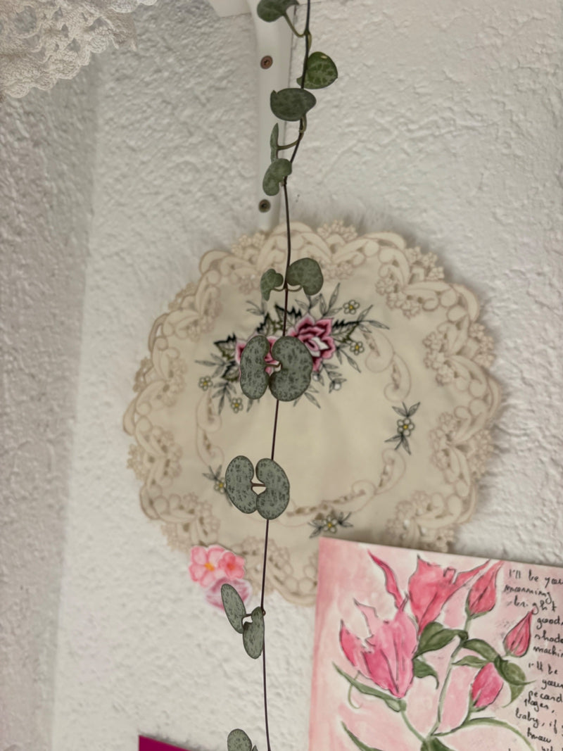 Leuchterblume — Bild 1
