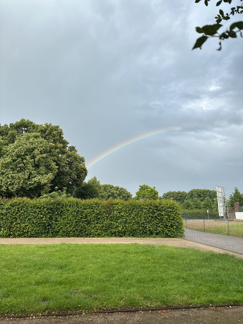 Linde — Bild 5