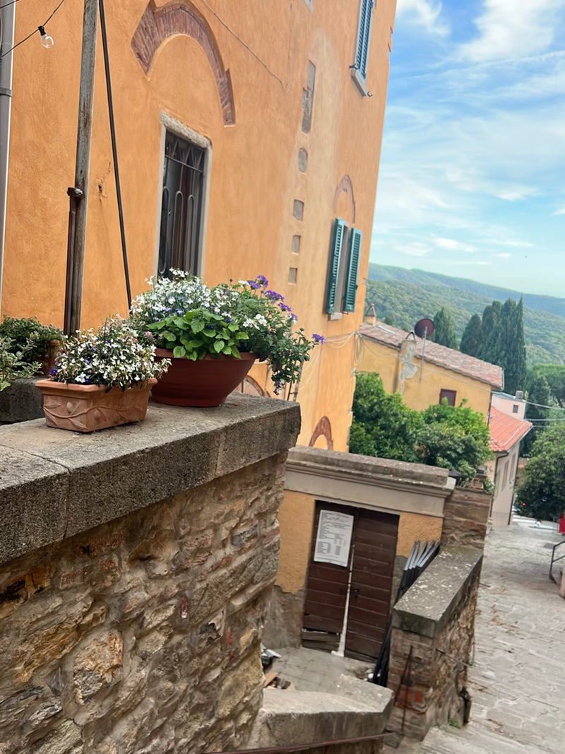 Maennertreu — Bild 4