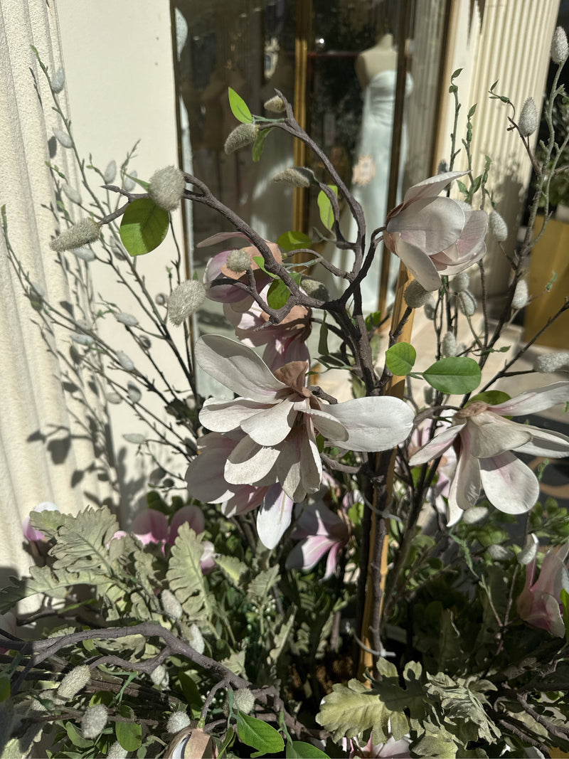 Magnolie — Bild 2