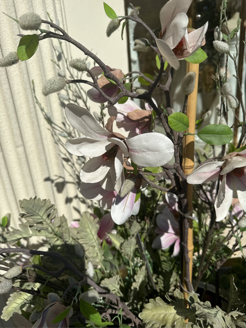Magnolie — Bild 3
