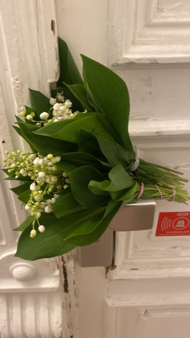 Maigloeckchen — Bild 3