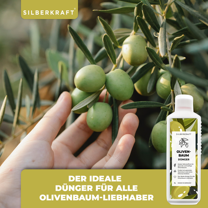 Olivenbaumdünger - Mineralischer NPK Flüssigdünger mit Stickstoff - Dünger für Olivenbäume - Oliven Dünger - Silberkraft