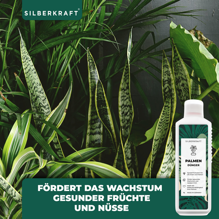 Palmendünger - Mineralischer NPK Flüssigdünger mit Stickstoff - Dünger für Palmen - Yucca Palmen Dünger - Palmen düngen - Silberkraft