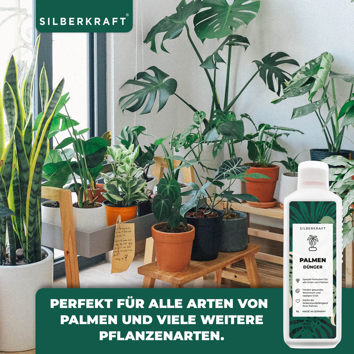 Palmendünger - Mineralischer NPK Flüssigdünger mit Stickstoff - Dünger für Palmen - Yucca Palmen Dünger - Palmen düngen - Silberkraft