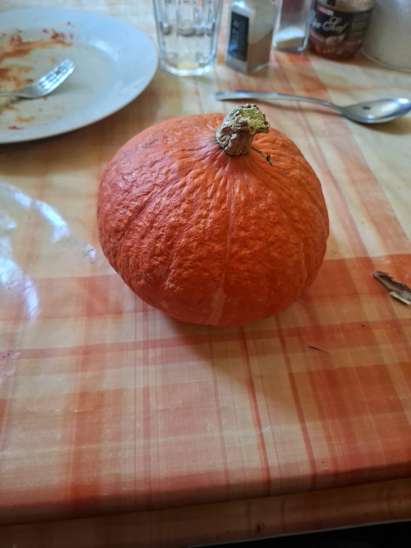 Ein orangeroter Riesen-Kürbis liegt auf einer gemusterten Tischdecke neben Geschirr.
