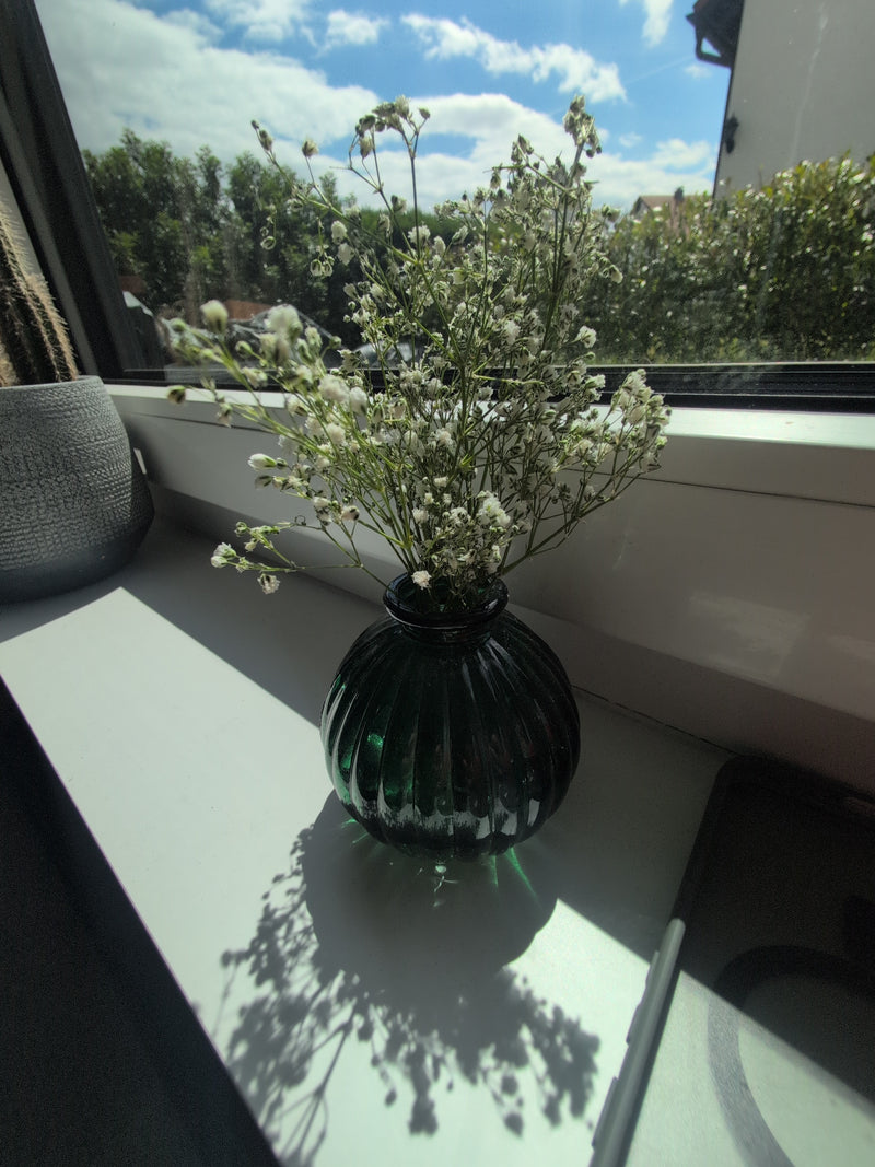 Schleierkraut — Bild 4