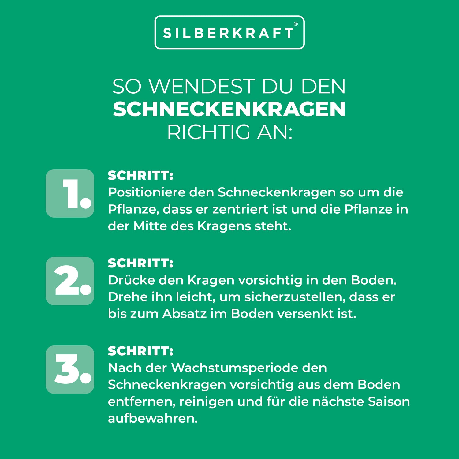Schneckenkragen: Effektiver Schutz gegen Schnecken und Würmer an Setzlingen - Silberkraft