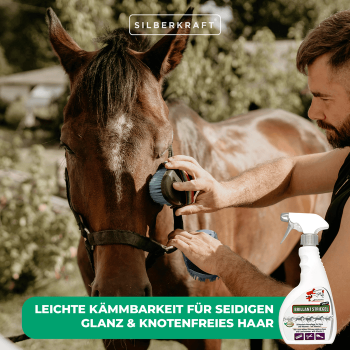 Schweif- und Mähnenspray Brillant für glänzendes Pferdehaar - Silberkraft