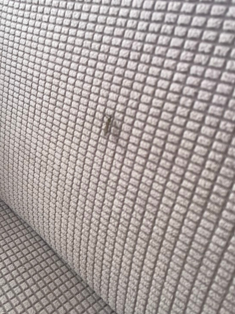 Silberfischchen — Bild 1