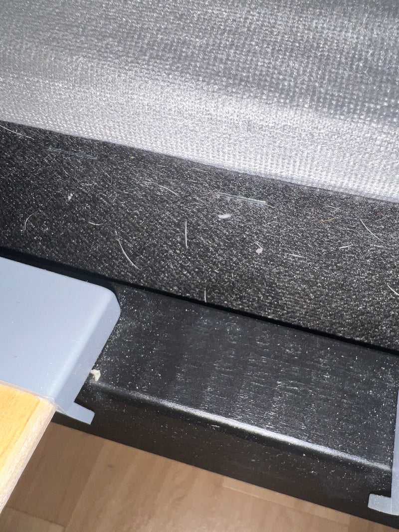 Silberfischchen — Bild 2