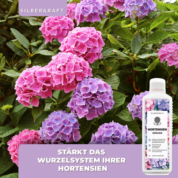 Hortensien Dünger - Mineralischer NPK Flüssigdünger mit Stickstoff - Dünger für Hortensien - Hydrangea macrophylla Dünger - Silberkraft