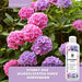 Hortensien Dünger - Mineralischer NPK Flüssigdünger mit Stickstoff - Dünger für Hortensien - Hydrangea macrophylla Dünger - Silberkraft