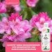 Rhododendron Dünger - Mineralischer NPK Flüssigdünger mit Stickstoff - Dünger für Rhododendren - Azaleen Dünger - Kamelien Dünger - Silberkraft