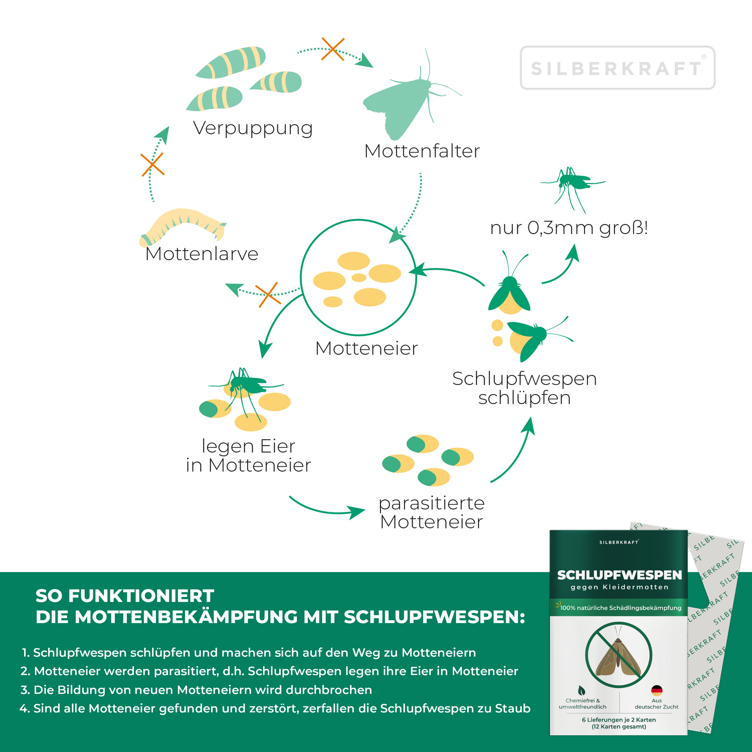 Schlupfwespen gegen Kleidermotten - Silberkraft