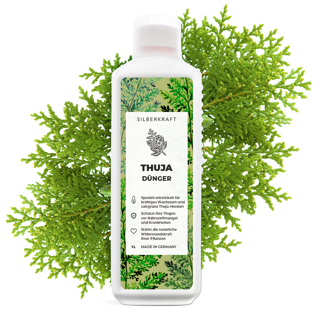 Thuja Dünger - Mineralischer NPK Flüssigdünger mit Stickstoff - Dünger für Thuja-Hecken - Koniferen Dünger - Silberkraft