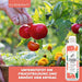 Tomatendünger - Mineralischer NPK Flüssigdünger mit Stickstoff - Dünger für Tomaten - Gemüsedünger - Silberkraft