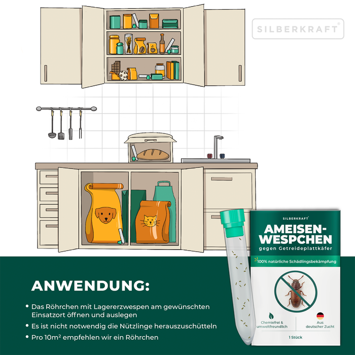 Ameisenwespchen - Cephalonomia tarsalis (CephiTop®) - Silberkraft