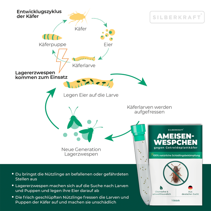 Ameisenwespchen - Cephalonomia tarsalis (CephiTop®) - Silberkraft
