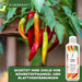 Chili Dünger - Mineralischer NPK Flüssigdünger mit Stickstoff - Dünger für Chilipflanzen - Peperoncini Dünger - Paprika Dünger - Silberkraft