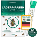 Lagerpiraten gegen Museumskäfer / Kabinettkäfer (Raubwanze Xylocoris Xylocoris flavipes)