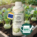 Kohlrabi-Dünger - garden