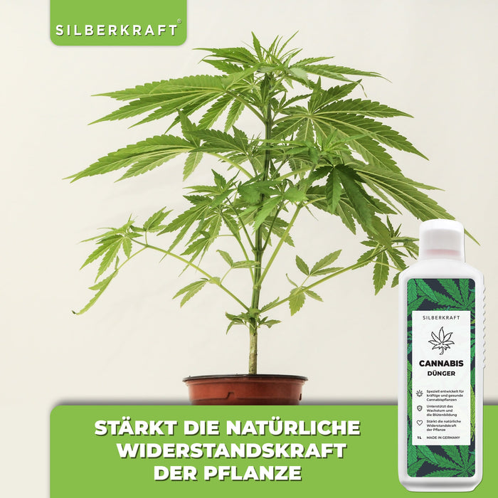 Cannabis Dünger - Mineralischer NPK Flüssigdünger mit Stickstoff - Dünger für Cannabispflanzen - Hanf Dünger - Silberkraft