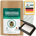 Pheromonfalle Teppichkäfer