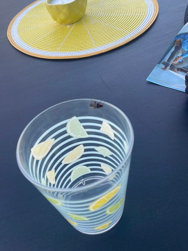 Auf dem oberen Rand eines Trinkglases sitzt ein Gemeiner Speckkäfer. Das Glas steht auf einem dunklen Tisch neben einer Tischdecke.