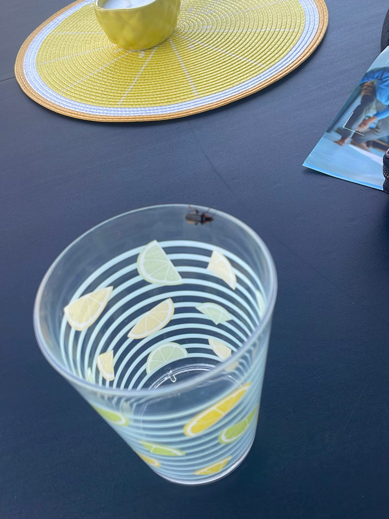 Gemeiner Speckkäfer — Bild 1