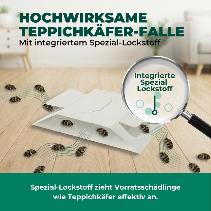 Teppichkäferfalle auf Teppich platziert – gezielte Anlockung und Fang von Teppichkäfern im Wohnbereich