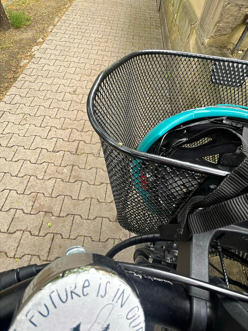 Veränderliche Krabbenspinne — Bild 2
