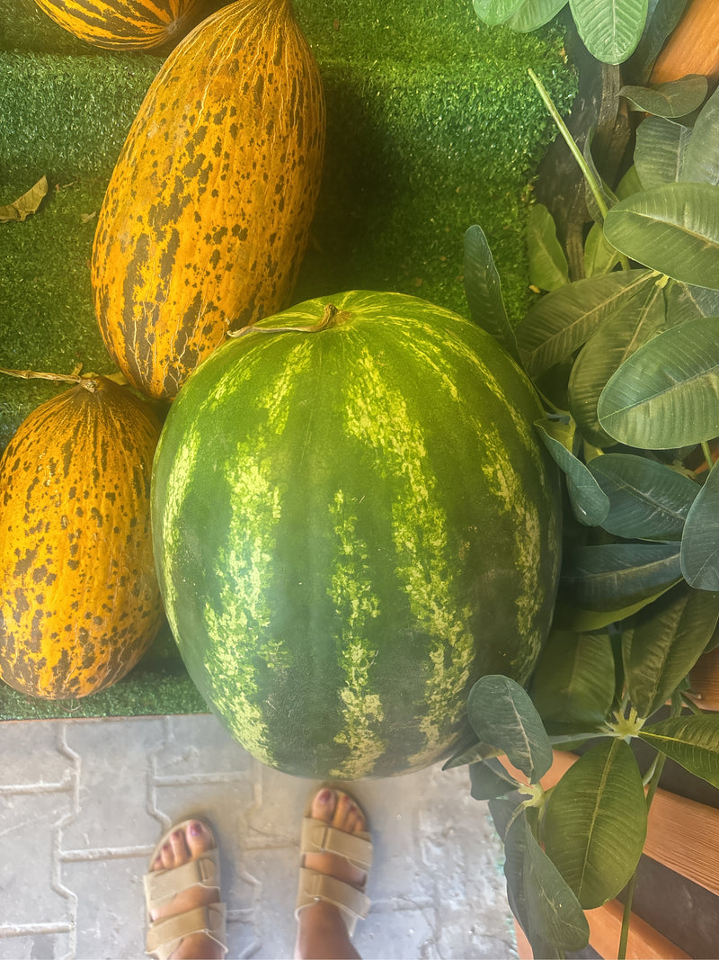 Melonen — Bild 4