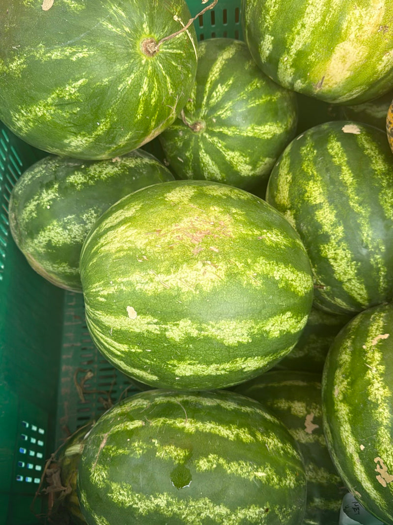 Melonen — Bild 2
